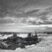 Saltwick Bay 210209_2
